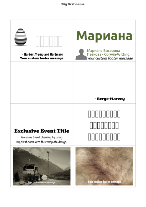шаблон за баджове с имена за Вложки за Баджове с Имена Sigel ZB213 Compatible Template