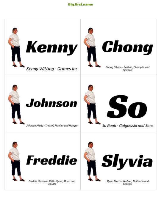 design jmenovky Prolamovač ledů pro váš obor