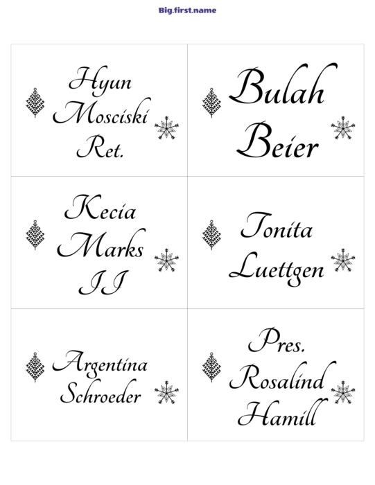 design jmenovky Vánoční klasika