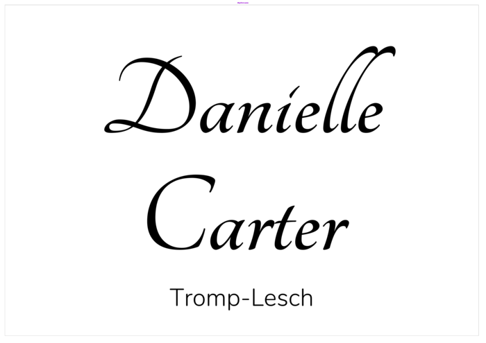 navneskilt-skabelon i landskabsformat til A3 posterstørrelse Compatible Template
