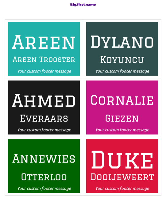 naambadge naamsticker ontwerp Schoolreünie