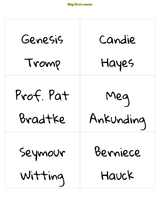 navneskilt-design Skolejente