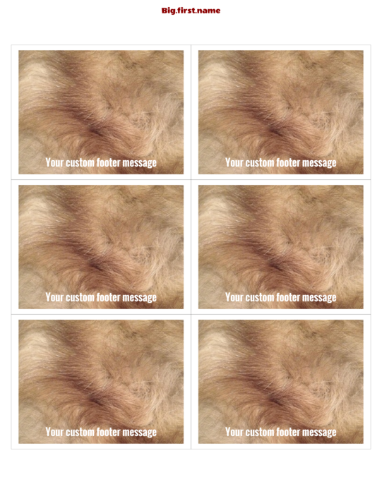 ネームタグ・ネームバッジデザイン マリア