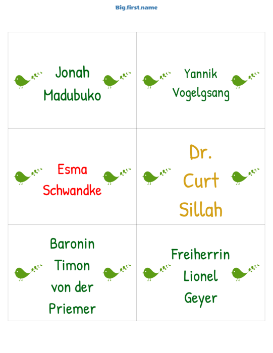 Namensschild-Design Weihnachtsfeier