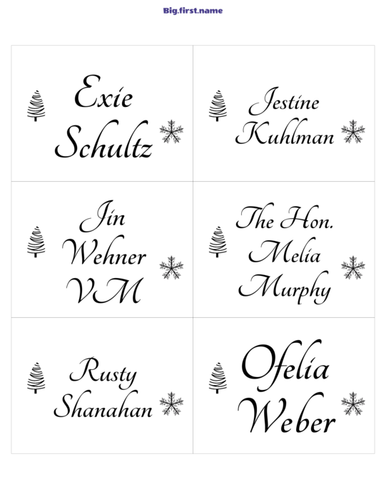 design jmenovky Vánoční klasika