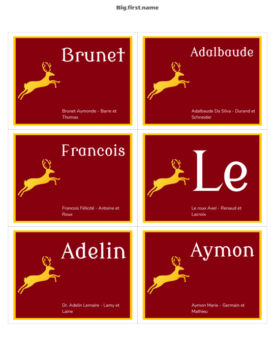 design de badge nominatif Badge de Noël Deluxe