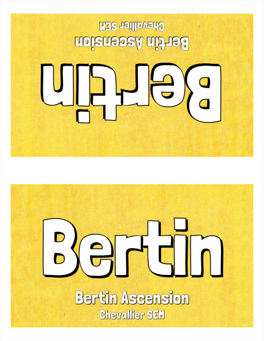modèle de badge nominatif pour LETTER Pli Simple Papier Standard Portrait Compatible Template