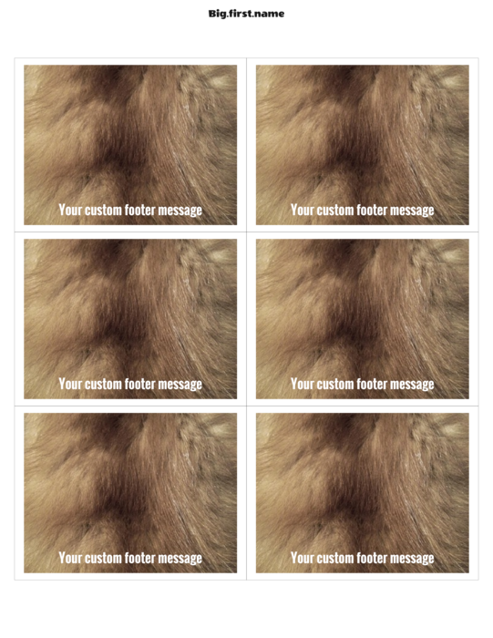 ネームタグ・ネームバッジデザイン マリア