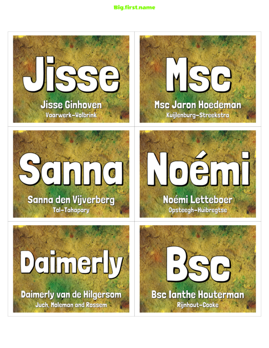 naambadge naamsticker ontwerp Kleurrijk Naamplaatje