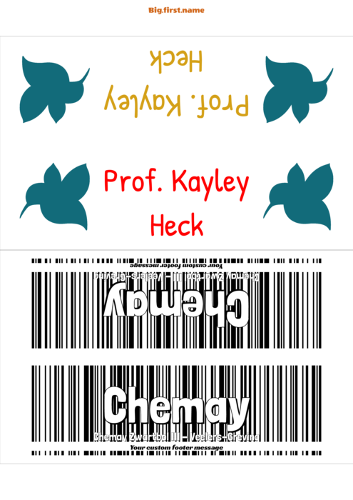 naambadge naamsticker sjabloon voor Plaatskaarten DECAdry OCB 5107 Compatible Template