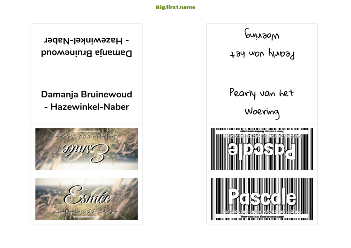naambadge naamsticker sjabloon voor Sigel Tentkaarten DP046 Compatible Template
