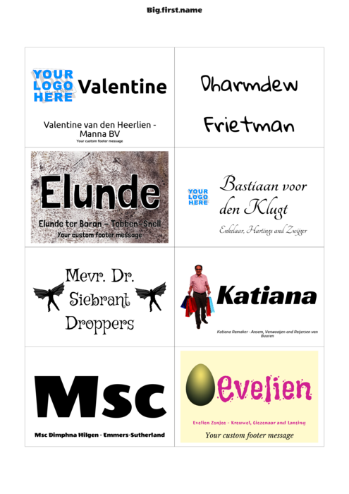 naambadge naamsticker sjabloon voor Inlegvellen voor naambadges Sigel ZB213 Compatible Template