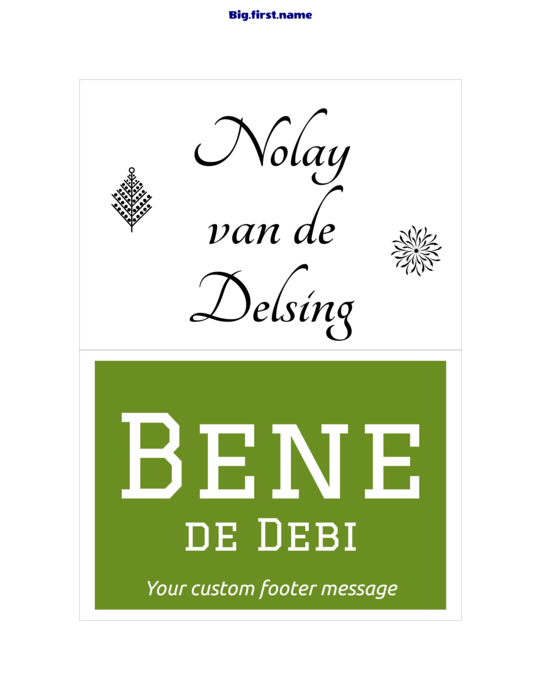 naambadge naamsticker sjabloon voor 4-1, 4" x 6" Agenda Papier Naambadge-inleg NS2VWB Compatible Template