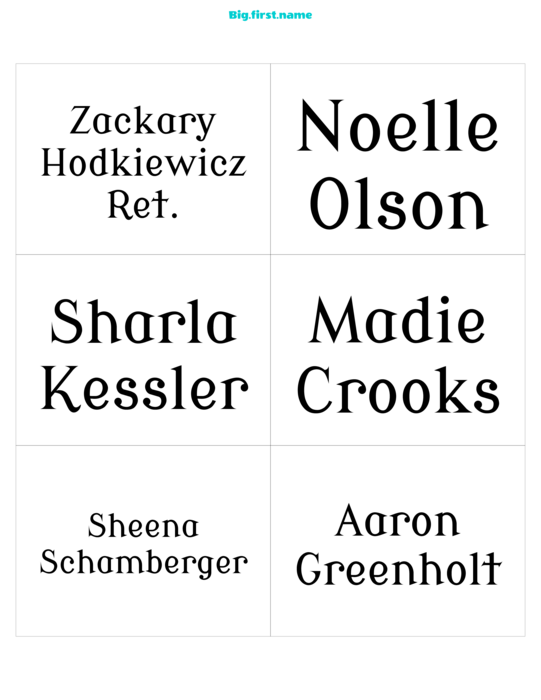 navneskilt-design Steinalder