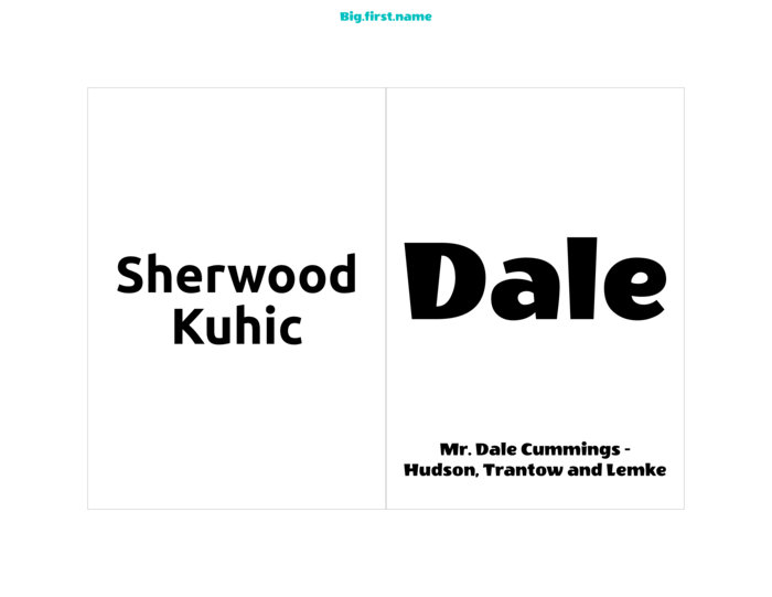 liggende navneskilt-mal for 4-1, 4" x 6" Agenda-papir navnelapp-innlegg NS2VWB Compatible Template