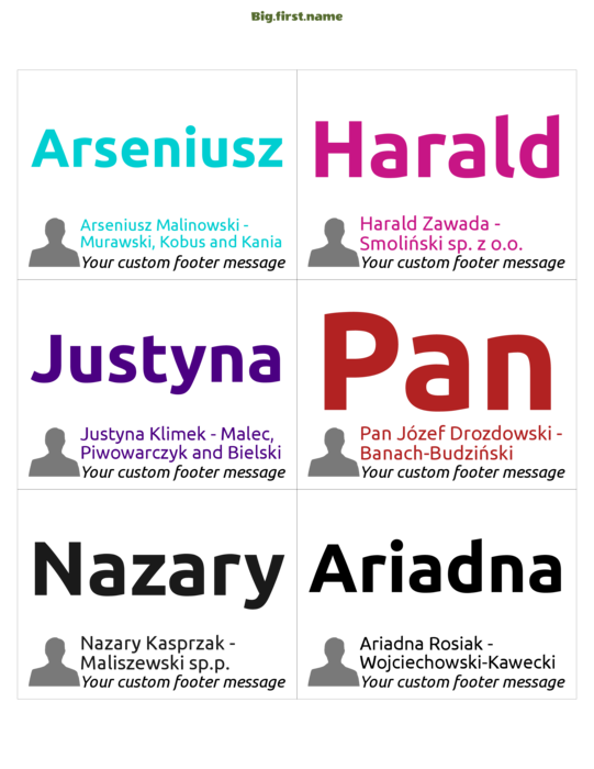 wzór identyfikatora Odważne Kolory z Awatarem